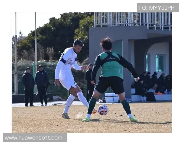 喀麦隆足球传奇人物回顾与他们对世界足球的影响